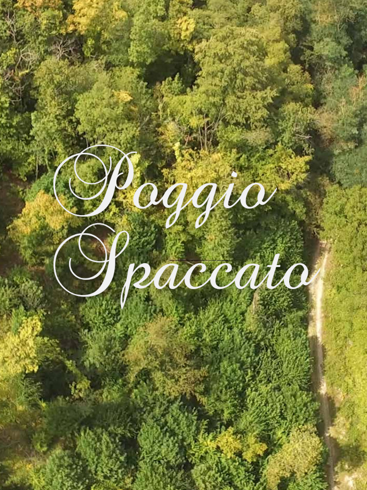 Casa di riposo Poggio Spaccato